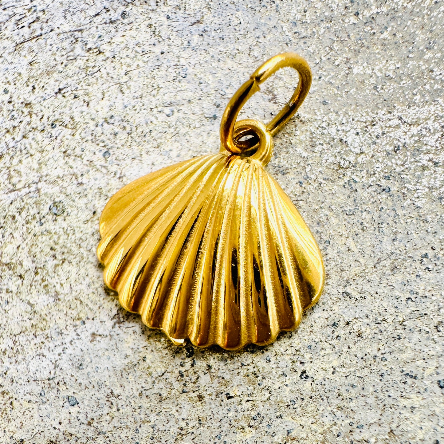 Muschel Charm