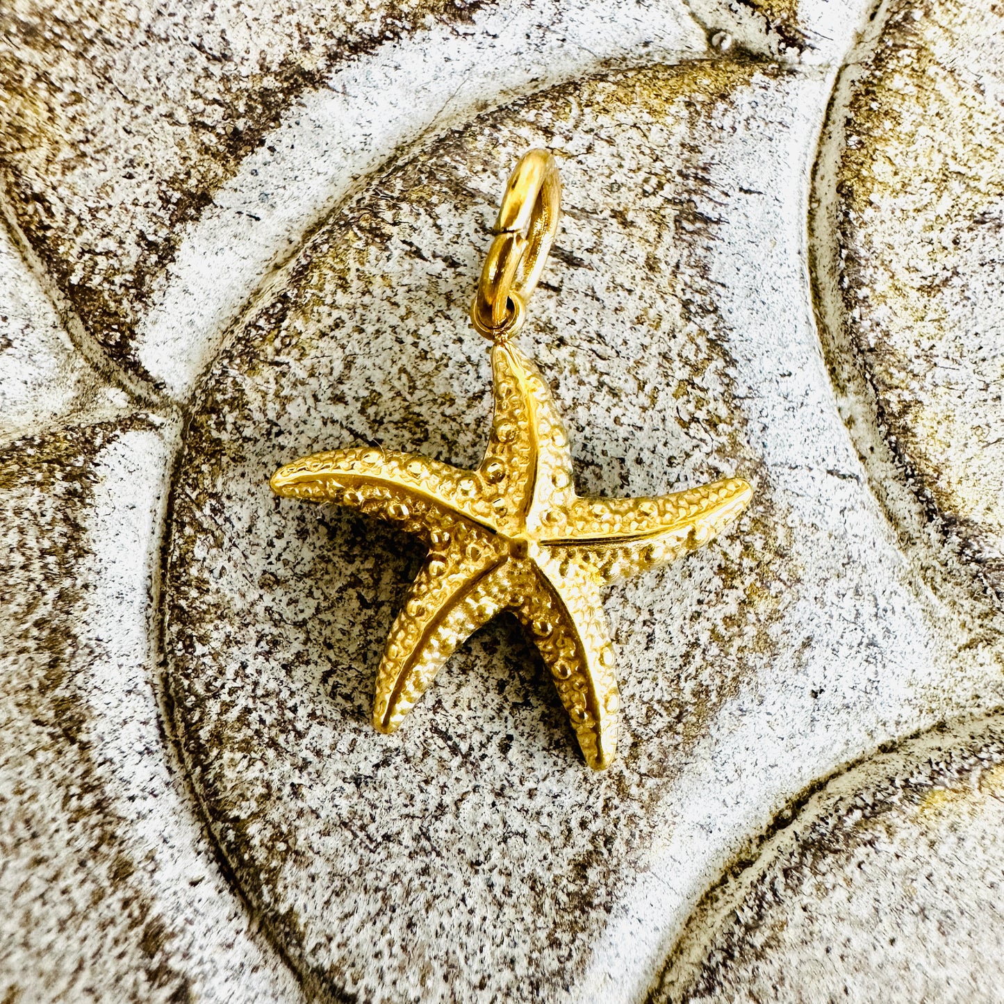 Seestern Charm