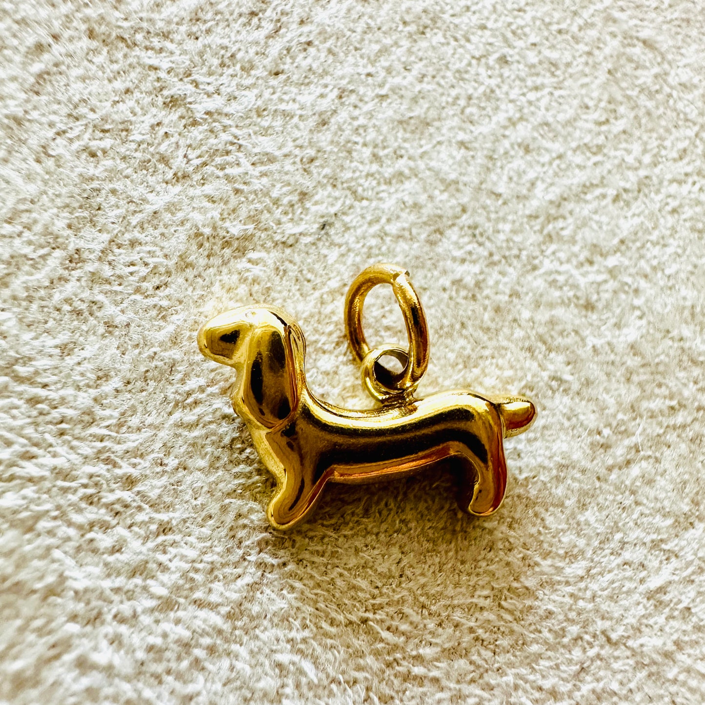 Dackel Charm