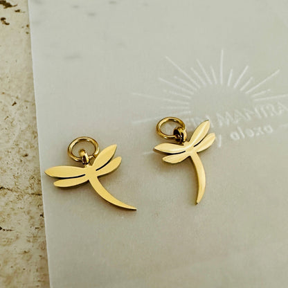 Libellen Charms